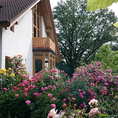 Bellevue * 말렌테