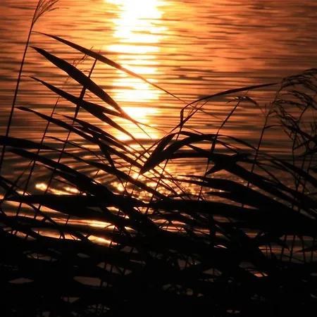 Apartman Bellevue Malente