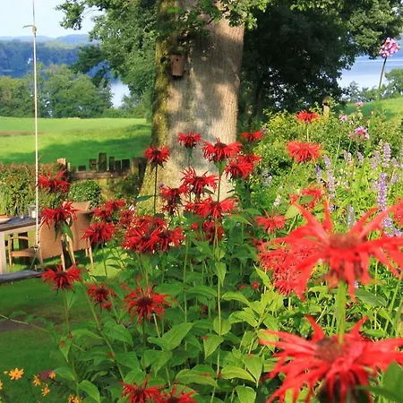 Apartman Bellevue Malente