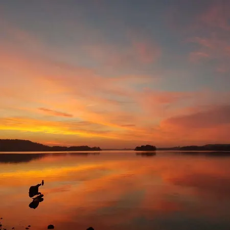 아파트 Bellevue *