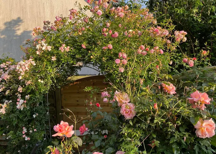 Apartament Bellevue Malente